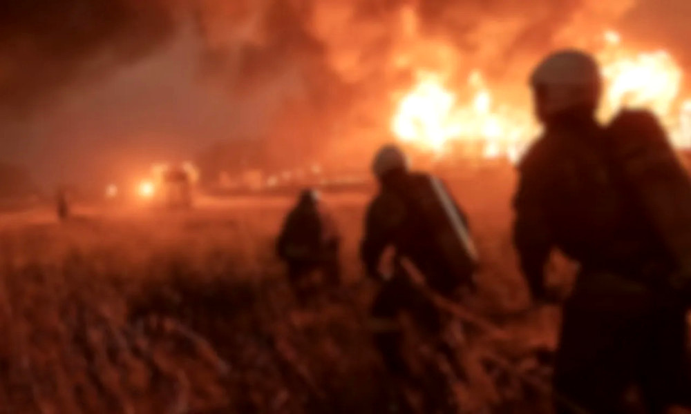 10296 image for slide