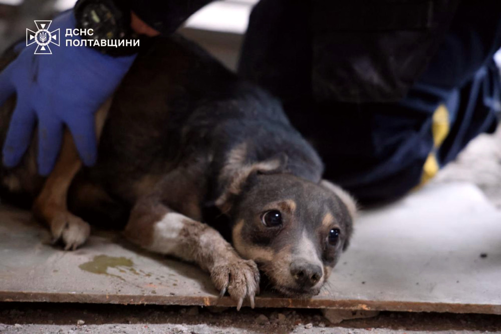 5675 image for slide