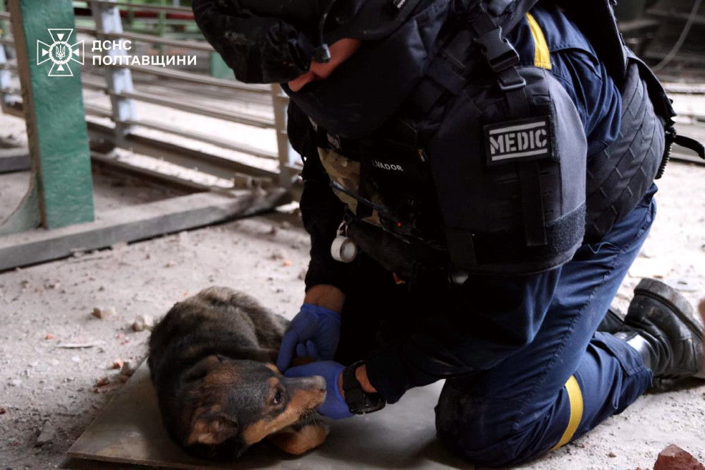 5679 image for slide