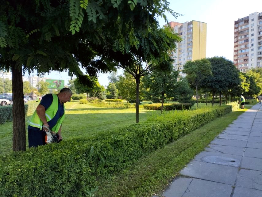 7357 image for slide