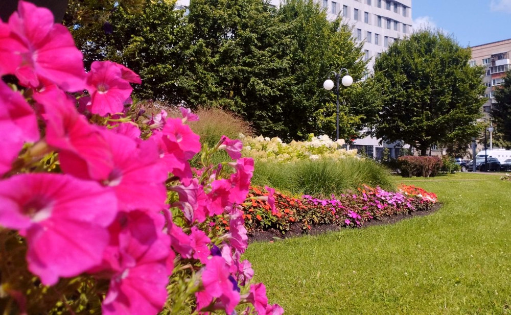 7358 image for slide