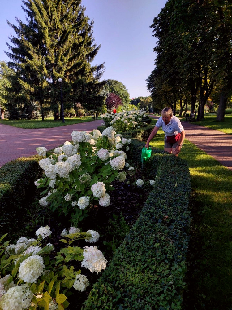 7361 image for slide