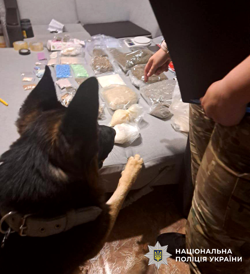 8164 image for slide