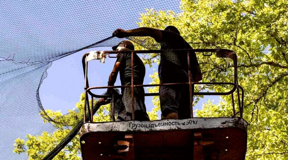 8593 image for slide