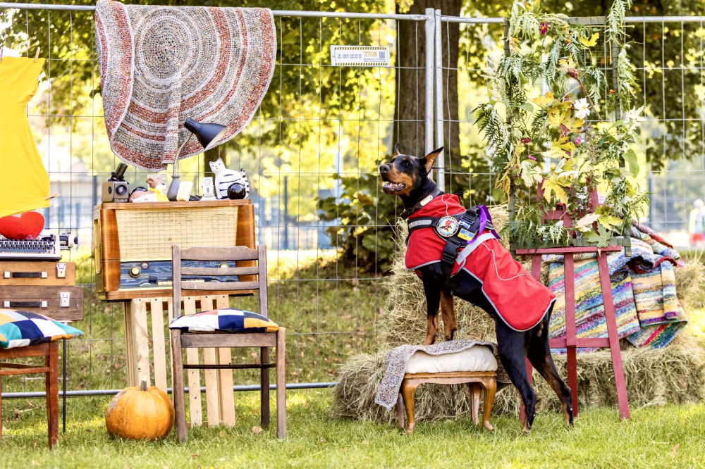 8693 image for slide