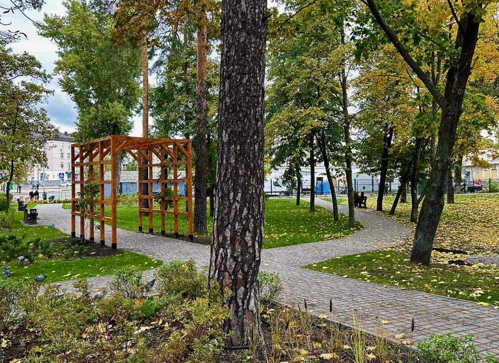 9387 image for slide