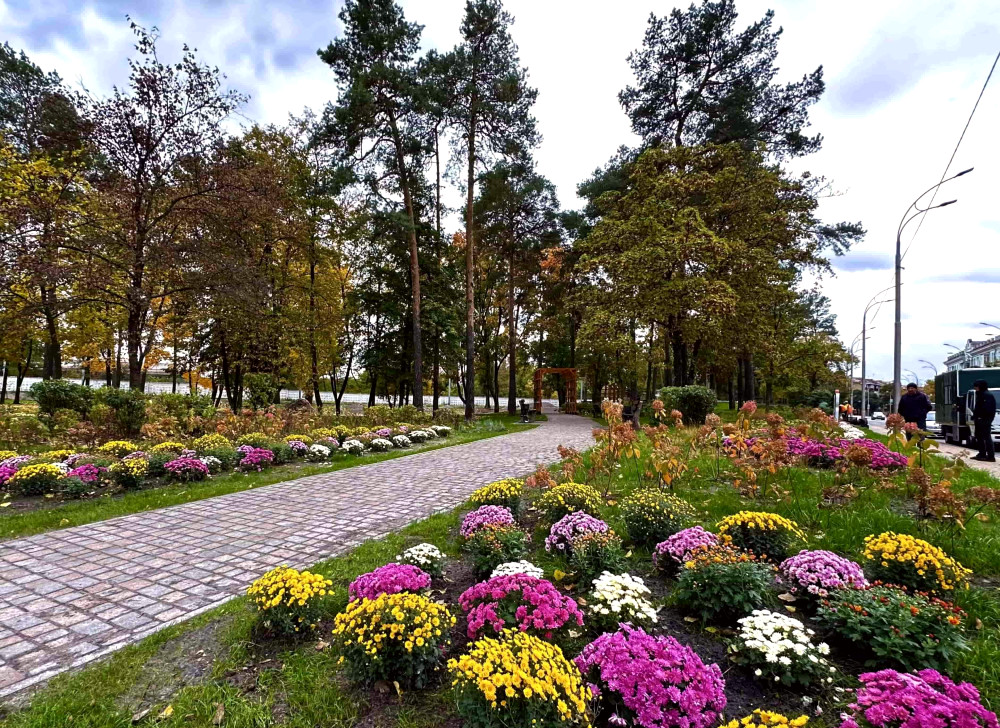 9388 image for slide