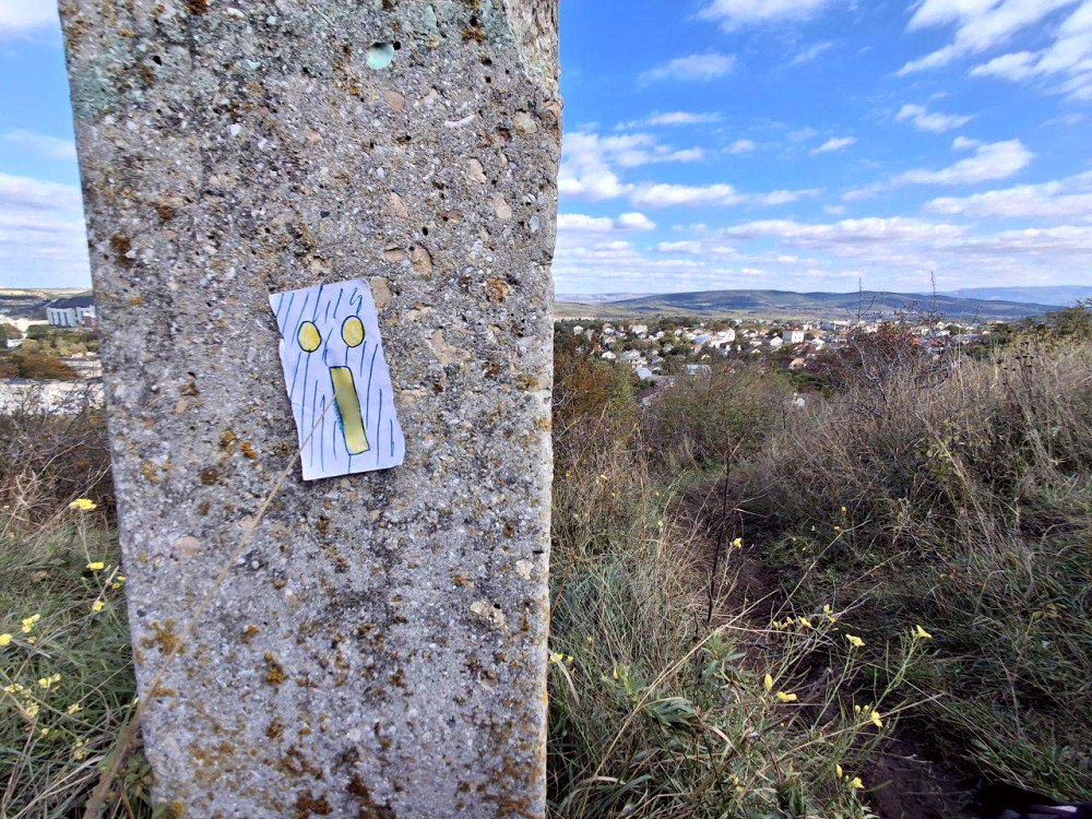 9397 image for slide