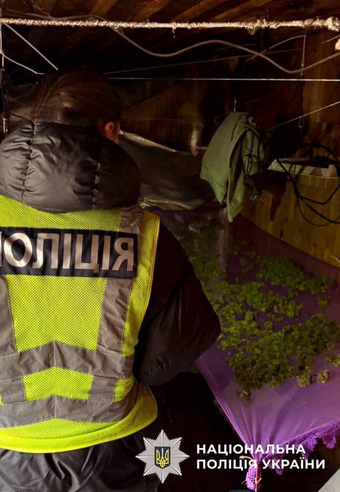 9476 image for slide