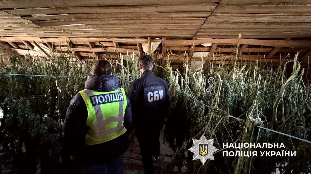 9477 image for slide