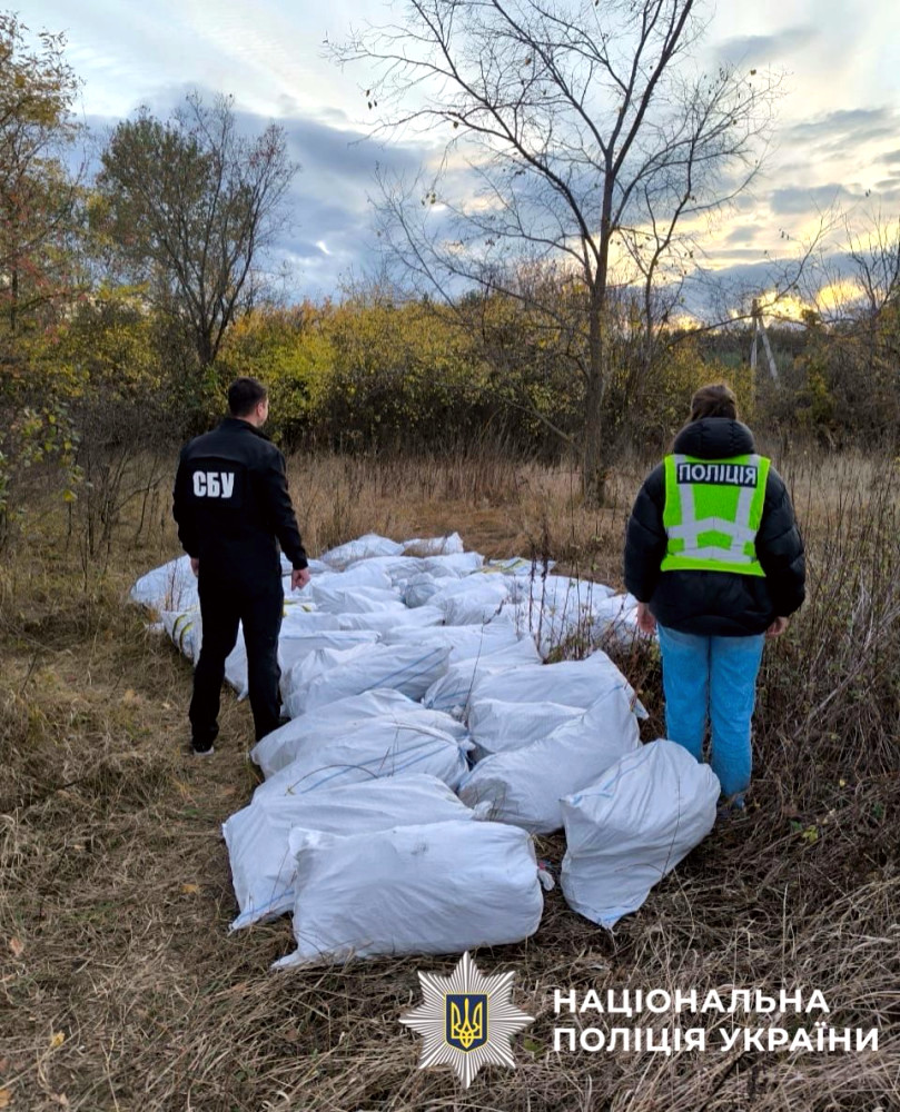 9478 image for slide